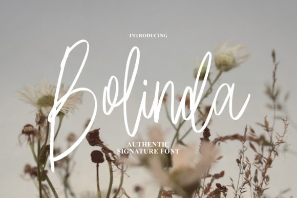 Bolinda: The Elegant Script Font for Modern Design